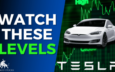 Tesla Inc. (TSLA) Daily Analysis 11/30/22