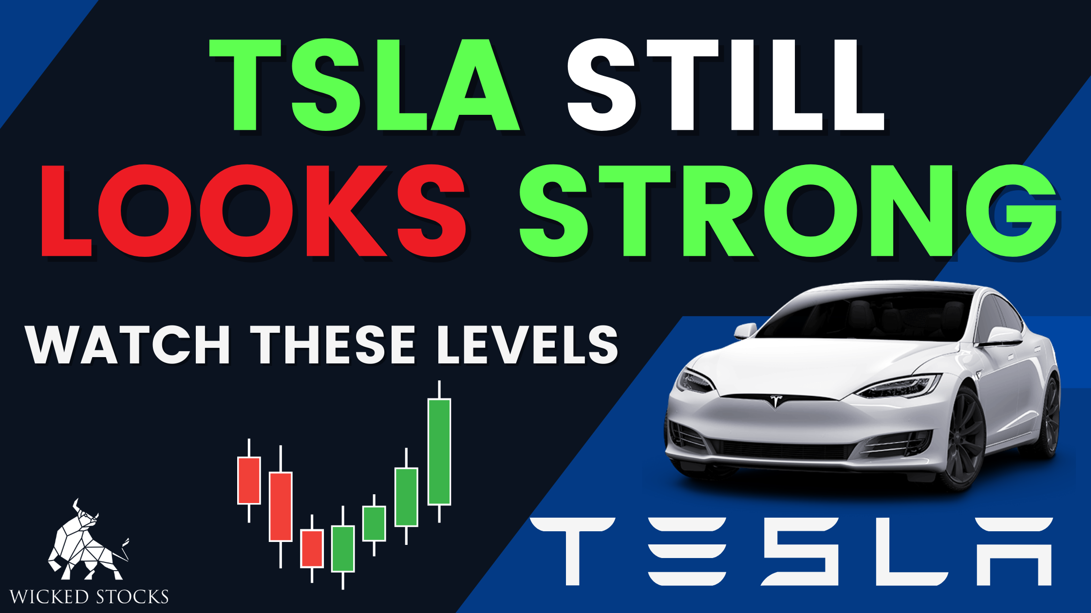 Tesla Inc (TSLA) Daily Analysis 2/21/23