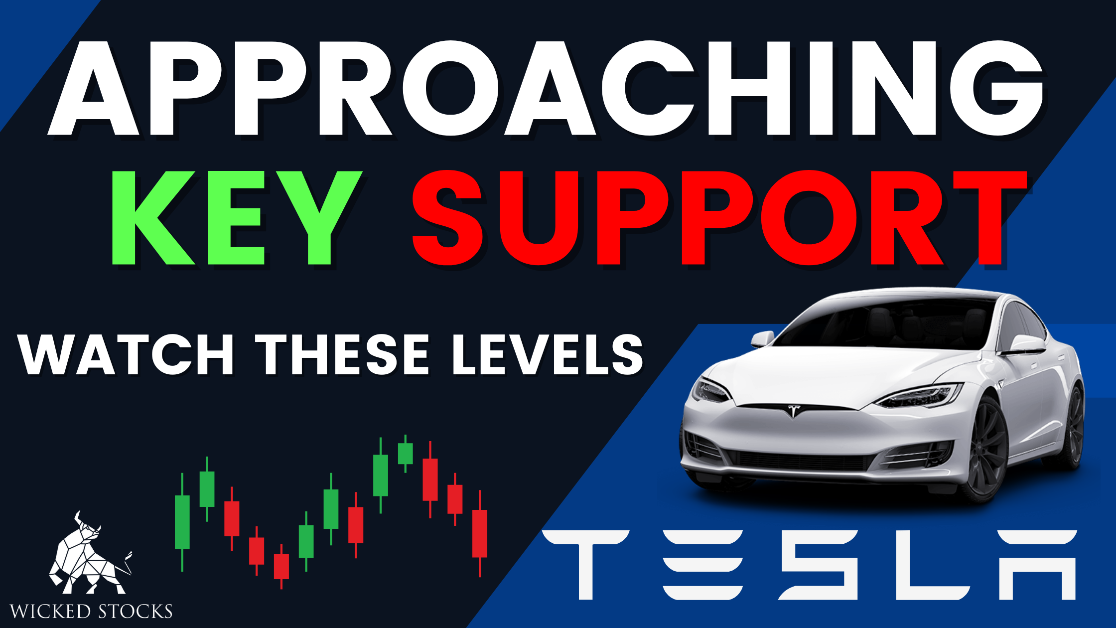 Tesla Inc (TSLA) Daily Analysis 2/22/23