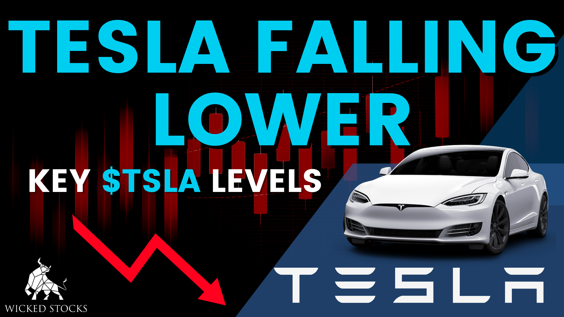 Tesla Inc (TSLA) Daily Analysis 3/10/23