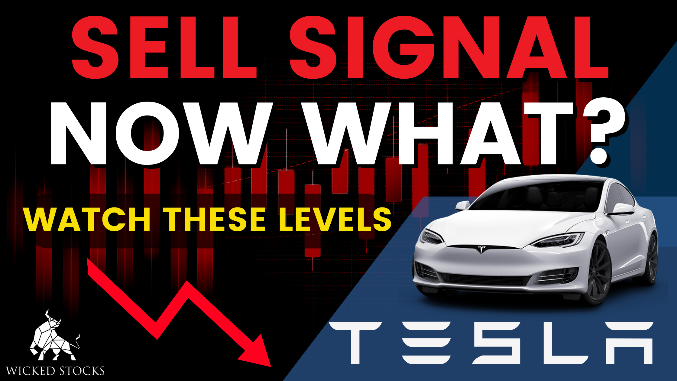 Tesla Inc (TSLA) Daily Analysis 3/3/23