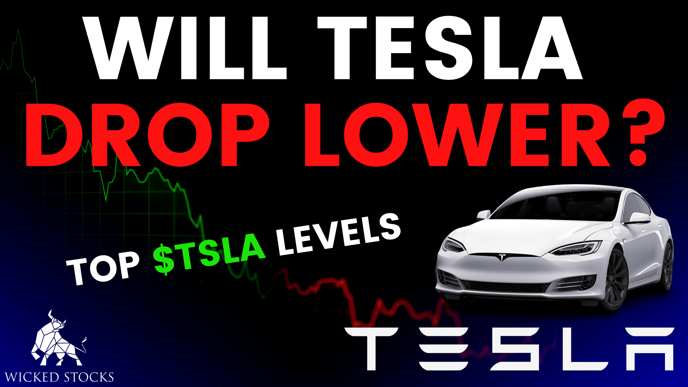 Tesla (TSLA) Daily Technical Analysis 11/13/23