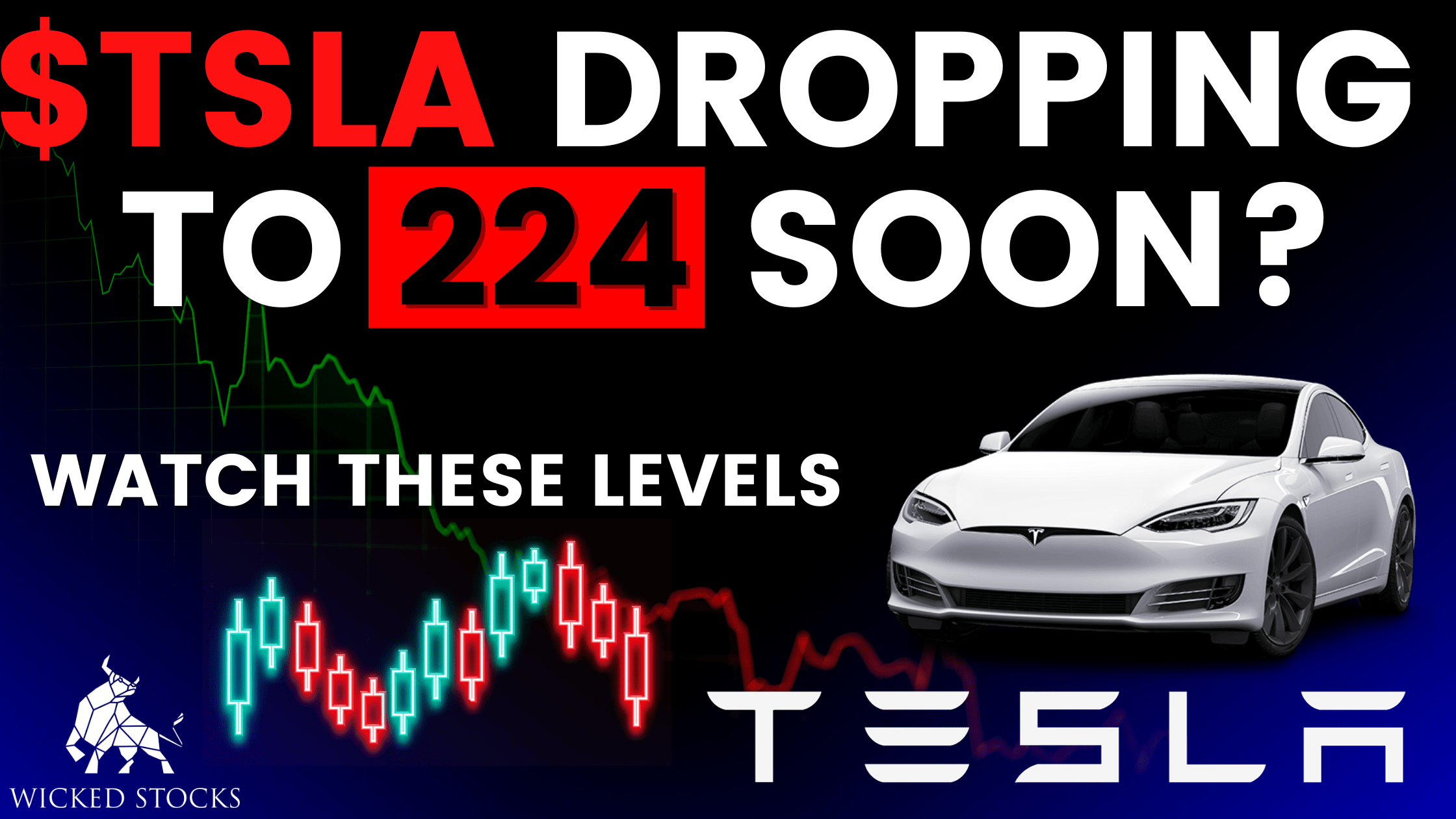 Tesla (TSLA) Daily Technical Analysis 11/24/23