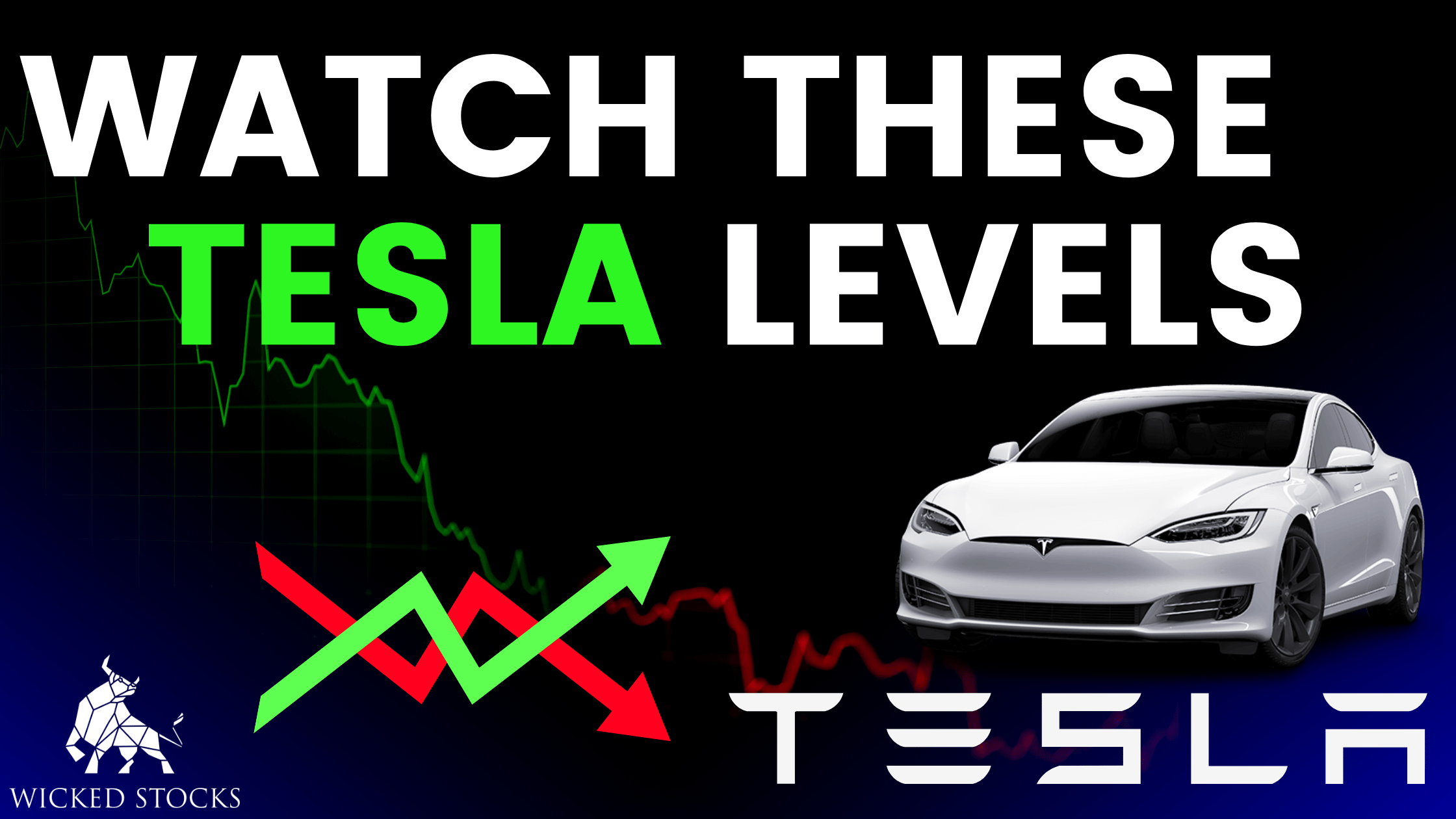 Tesla Daily Report 12/13/23