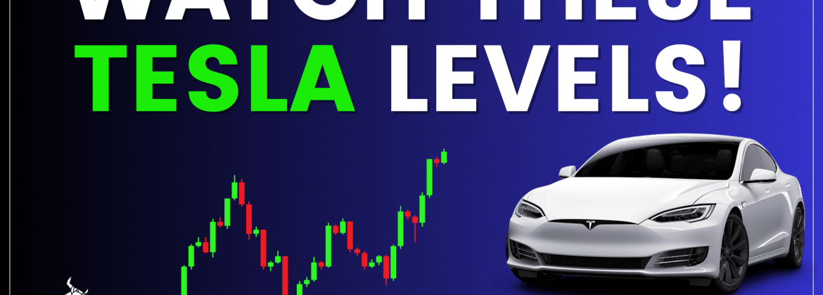 Tesla (TSLA) Stock Price Overview and Detailed Analysis